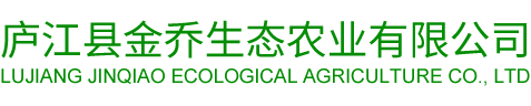 ob欧宝娱乐体育网页版入口